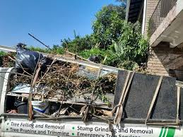 Best Furniture Removal  in Shoh, IL